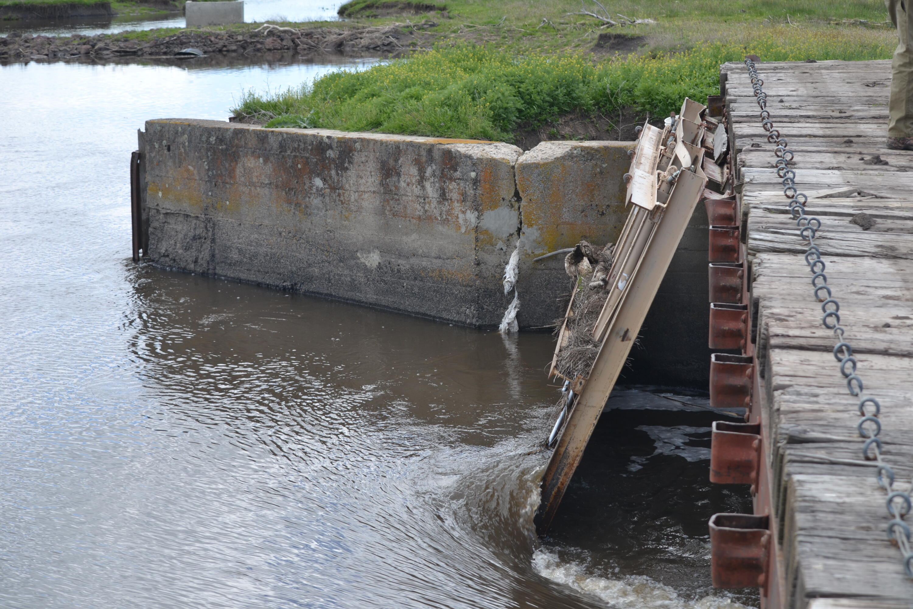 0 Punkin Center Road Bieber, CA 96009 - Photo 54 of 56 a view of outdoor space and yard