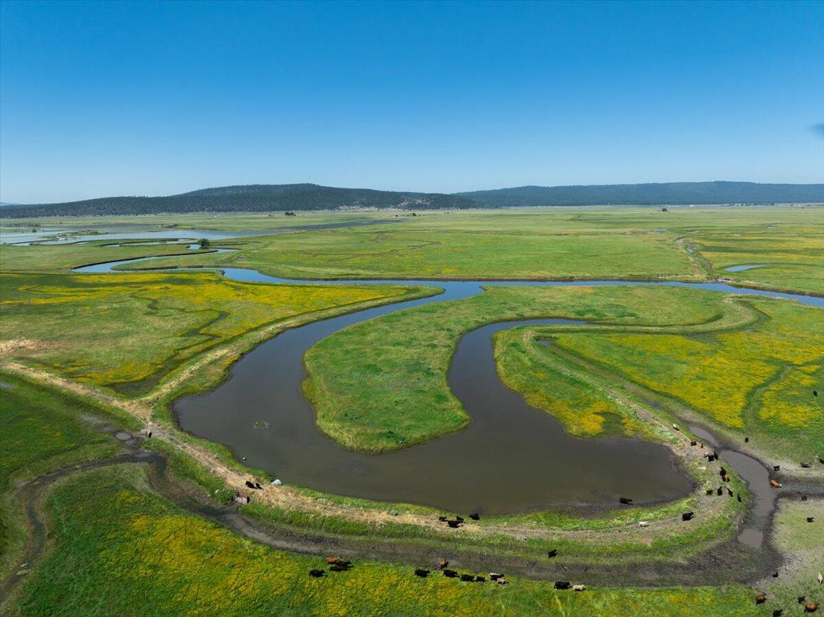 0 Punkin Center Road Bieber, CA 96009 - Photo 7 of 56 a view of a swimming pool