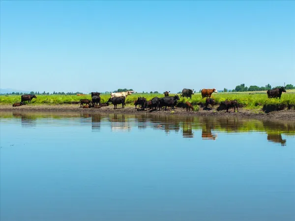 a view of an ocean and beach