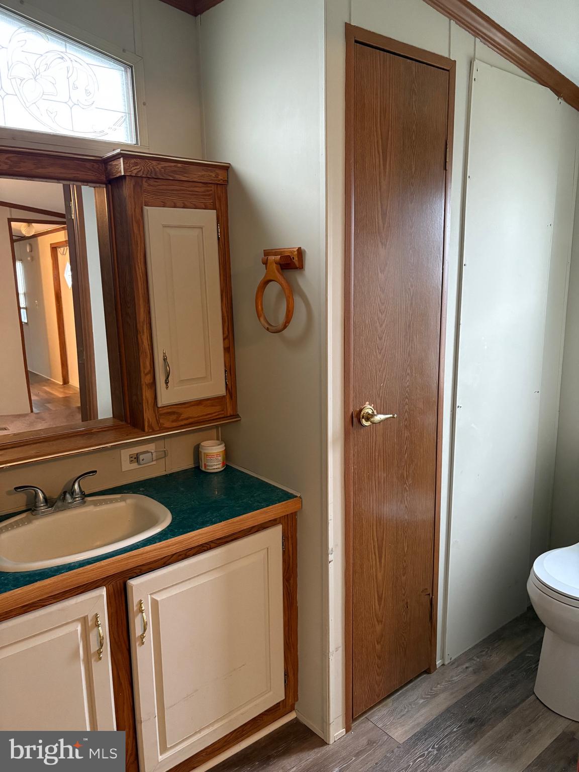 1021 Barberry Avenue, Unit T67 Reading, PA 19605 - Photo 9 of 10 a bathroom with a sink and a mirror