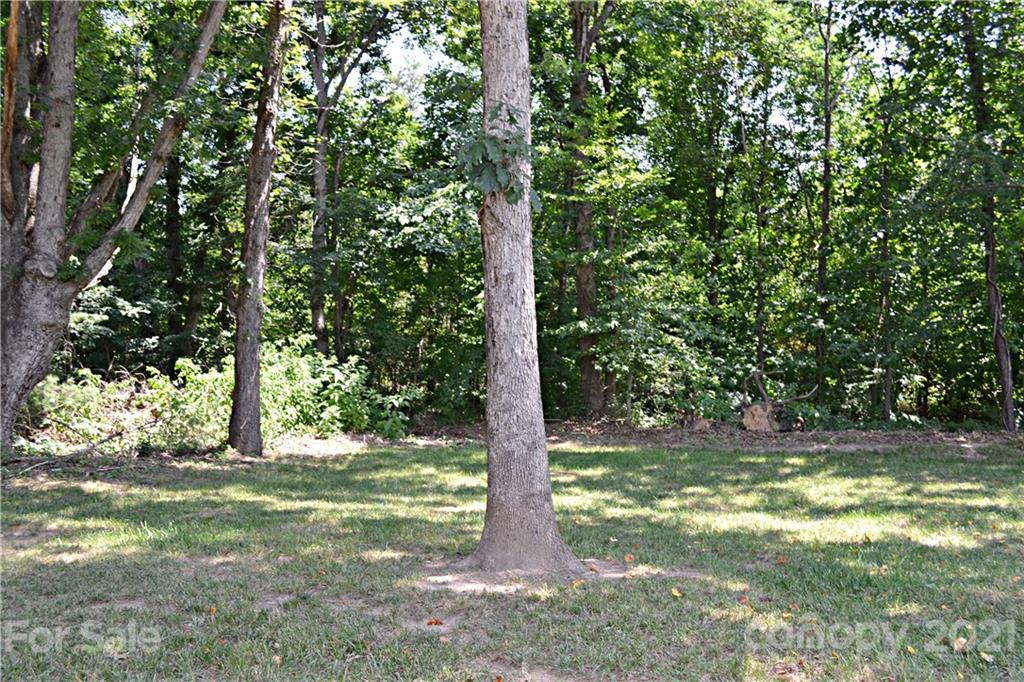 6814 Jenkins Road Morganton, NC 28655 - Photo 12 of 14 a view of a yard with plants