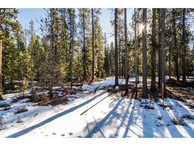 a view of backyard space and tree