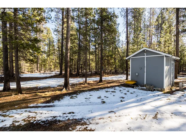 a view of outdoor space with lots of trees