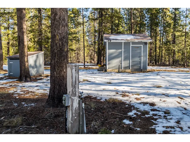 a park view with large trees