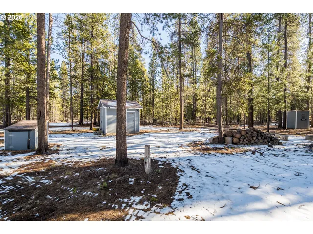a view of a park with large trees