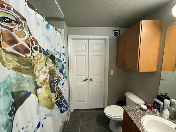 a bathroom with a toilet and shower curtain