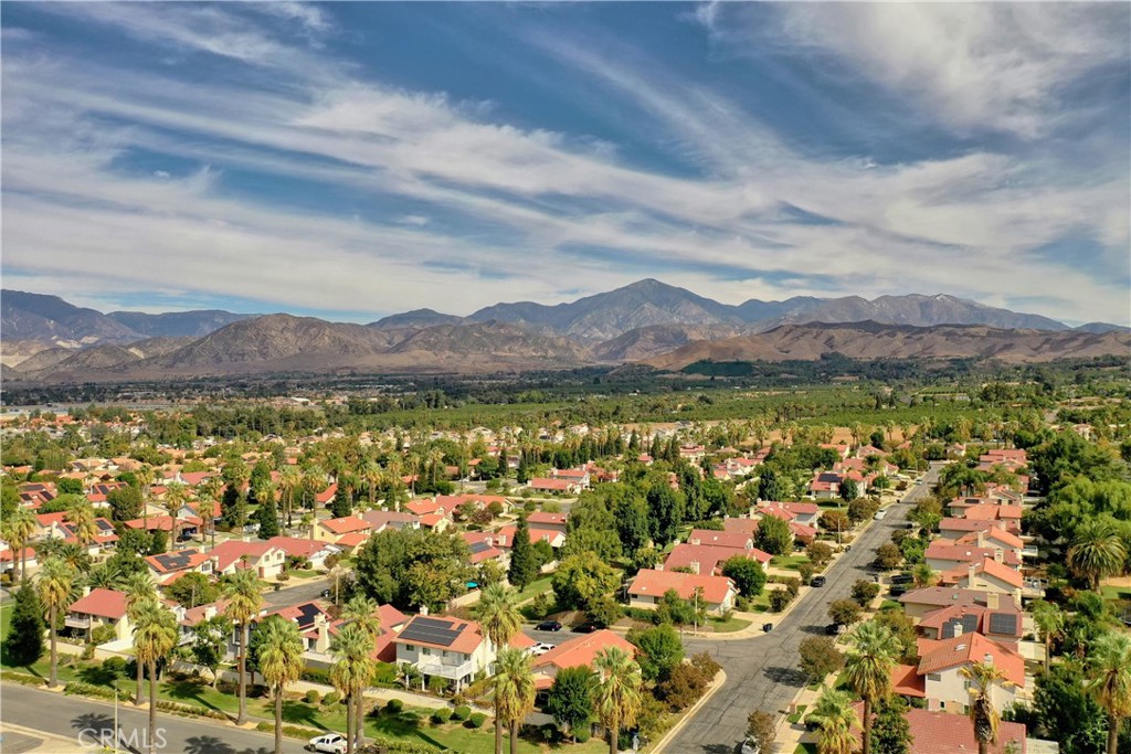 1749 Parkview Redlands, CA 92374 - Photo 50 of 55
