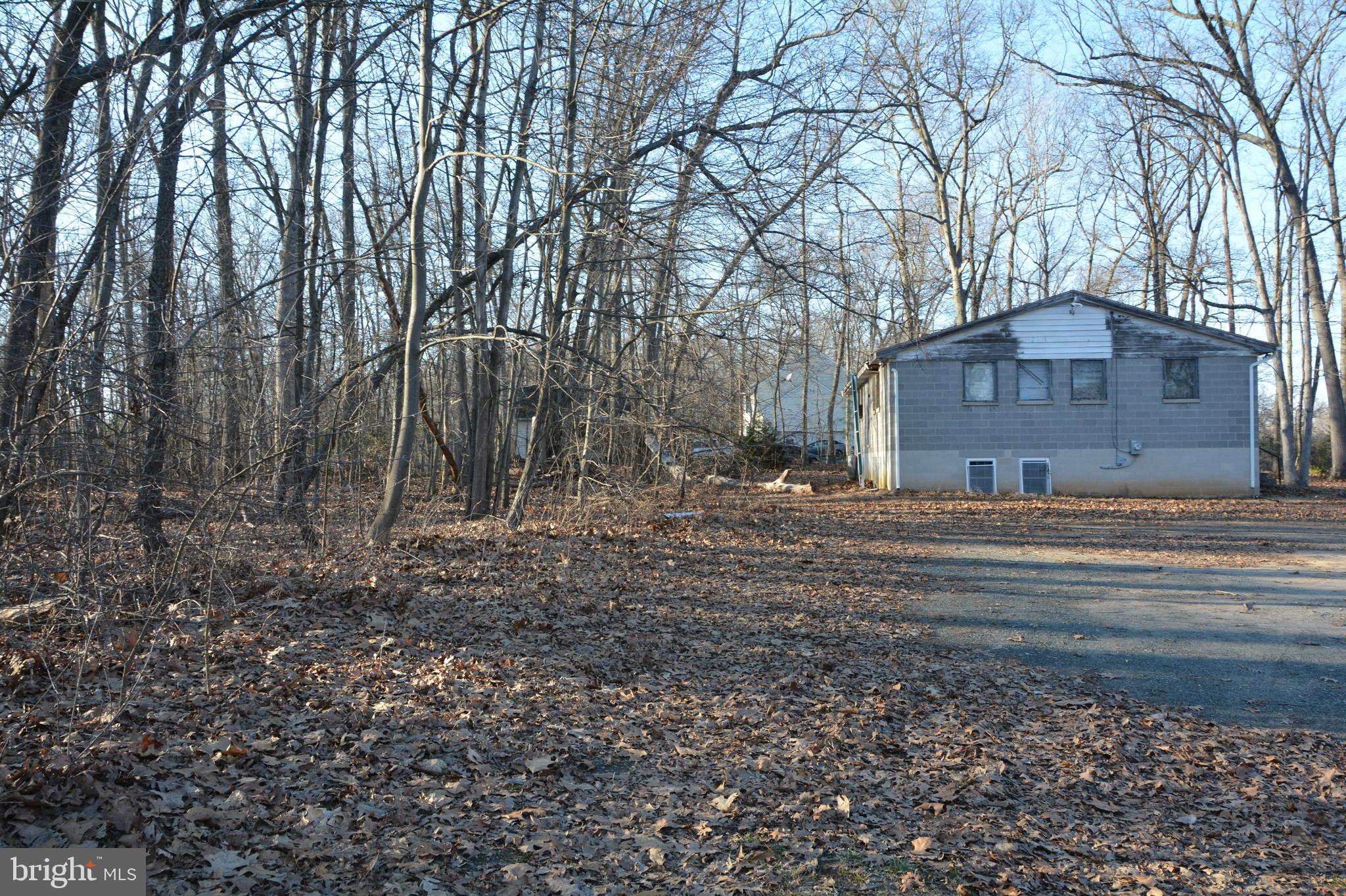 900 Coen Road Street, MD 21154 - Photo 8 of 16 Large wooded lot