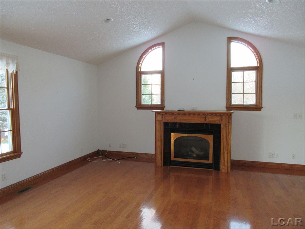 5414 Sutton Road Britton, MI 49229 - Photo 6 of 31 GAS FIREPLACE