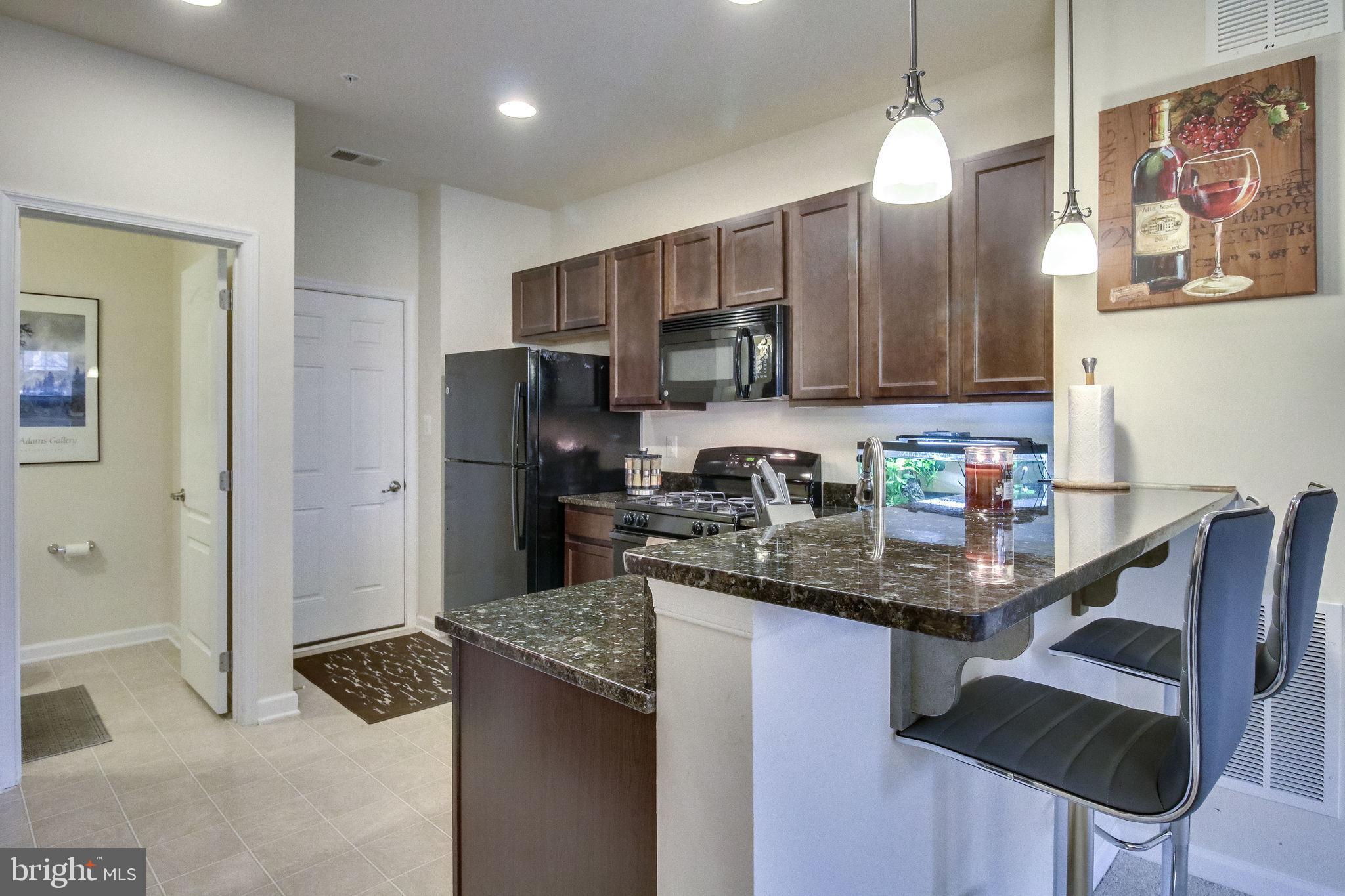 4847 Dane Ridge Circle, Unit 87 Woodbridge, VA 22193 - Photo 12 of 35 kitchen with sleek finishes.