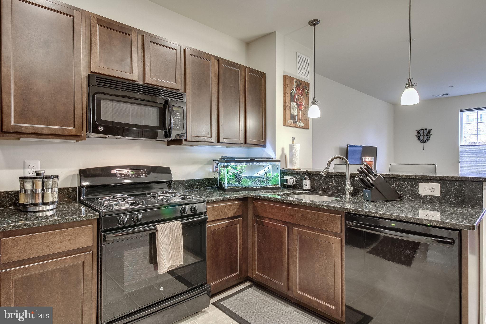 4847 Dane Ridge Circle, Unit 87 Woodbridge, VA 22193 - Photo 14 of 35 Modern kitchen with sleek finishes.