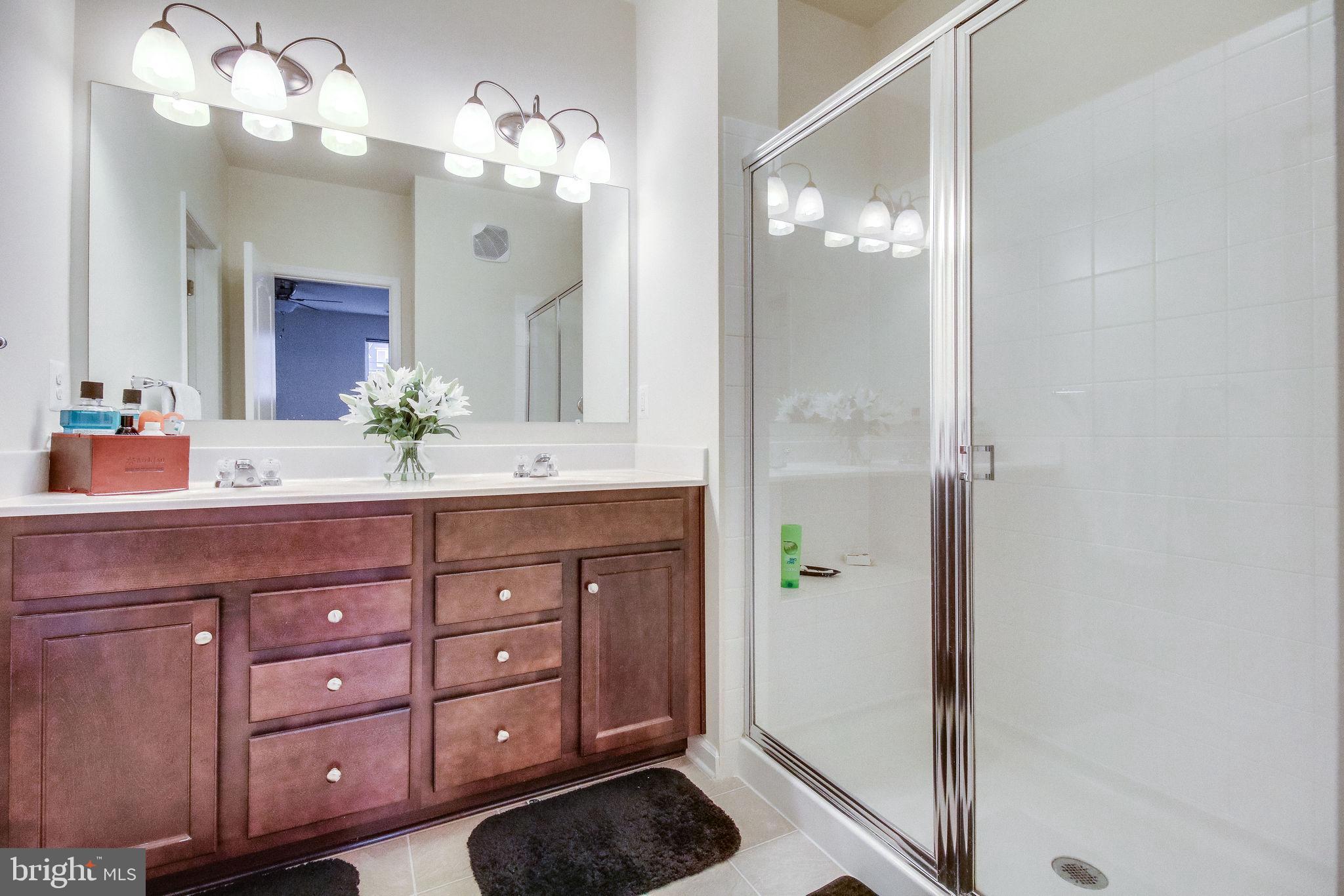 4847 Dane Ridge Circle, Unit 87 Woodbridge, VA 22193 - Photo 19 of 35 bathroom with elegant fixtures.