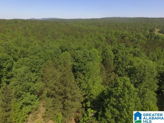 82-acres Creed Road, Unit 82 ACRES Lineville, AL 36266 - Photo 17 of 20