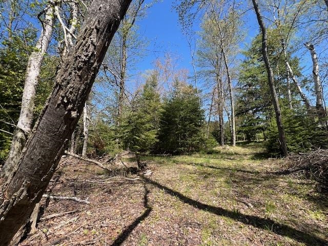 0 Flees Road Northport, MI 49670 - Photo 8 of 10 Gallery Image 8