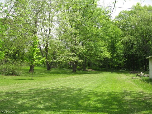 1657 Betz Road Akron, OH 44306 - Photo 33 of 34 VIEW OF BACKYARD - - - - - - - GOES BEYOND THE TREES - - - - - - THERE IS A STAKE WITH A RIBBON - - - - -.8375 OF AN ACRE - - - - - - - 80 x 456 - - - - - - - - - -