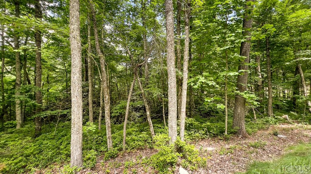 56 Ramble Rdg Road Cashiers, NC 28717 - Photo 20 of 40 Gallery Image 20