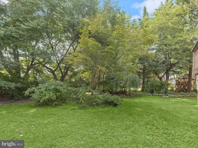 a picture of a park with a bench