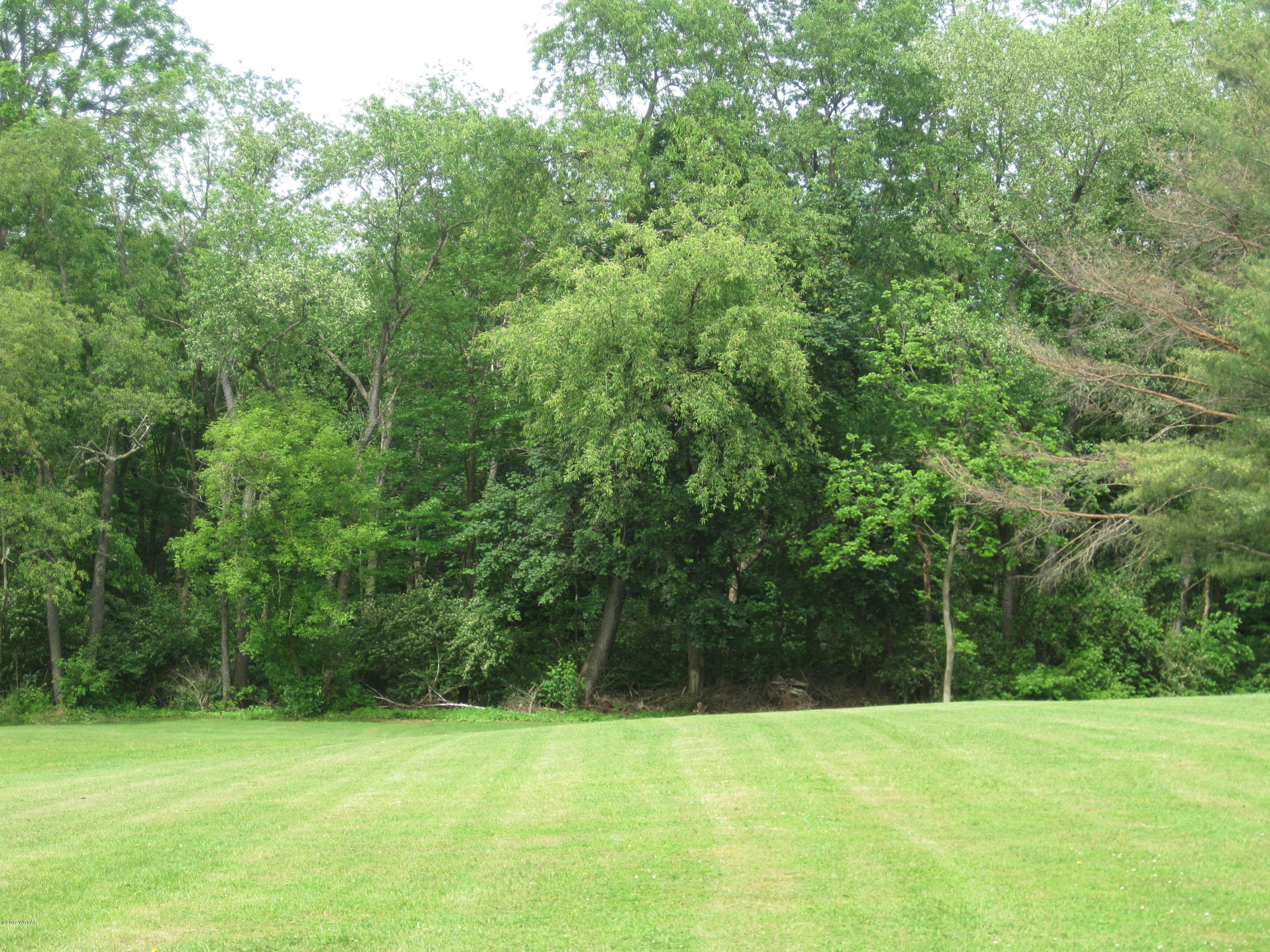177 Ridge Road Mill Hall, PA 17751 - Photo 15 of 55 IMG_1568