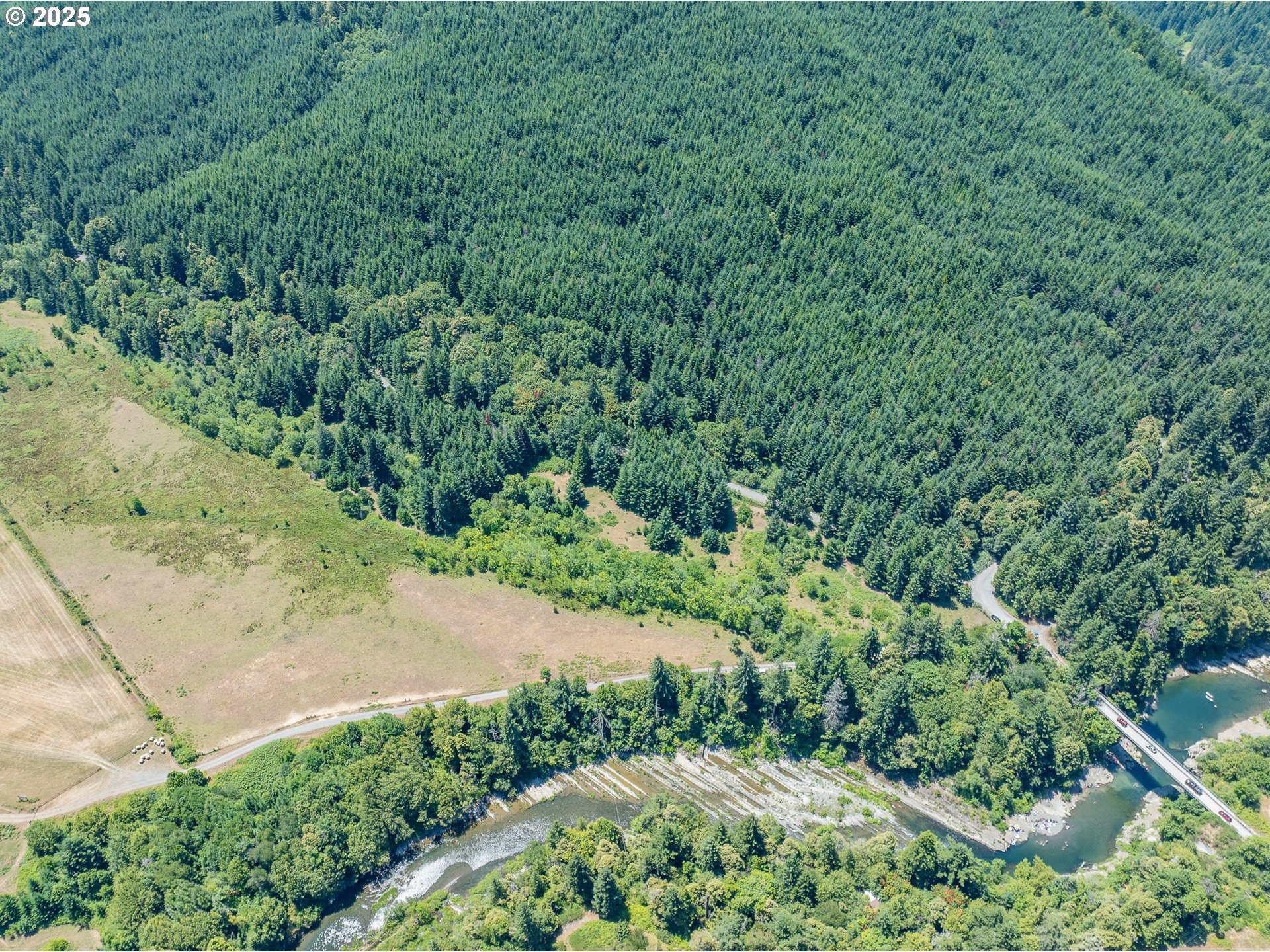 45651 Johnson Mountain Road Powers, OR 97466 - Photo 12 of 29