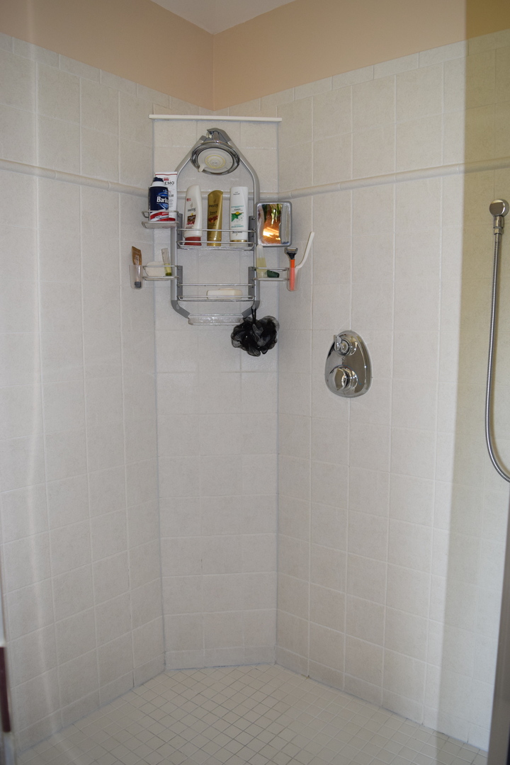 S713 Winfield Road Wheaton, IL 60189 - Photo 14 of 28