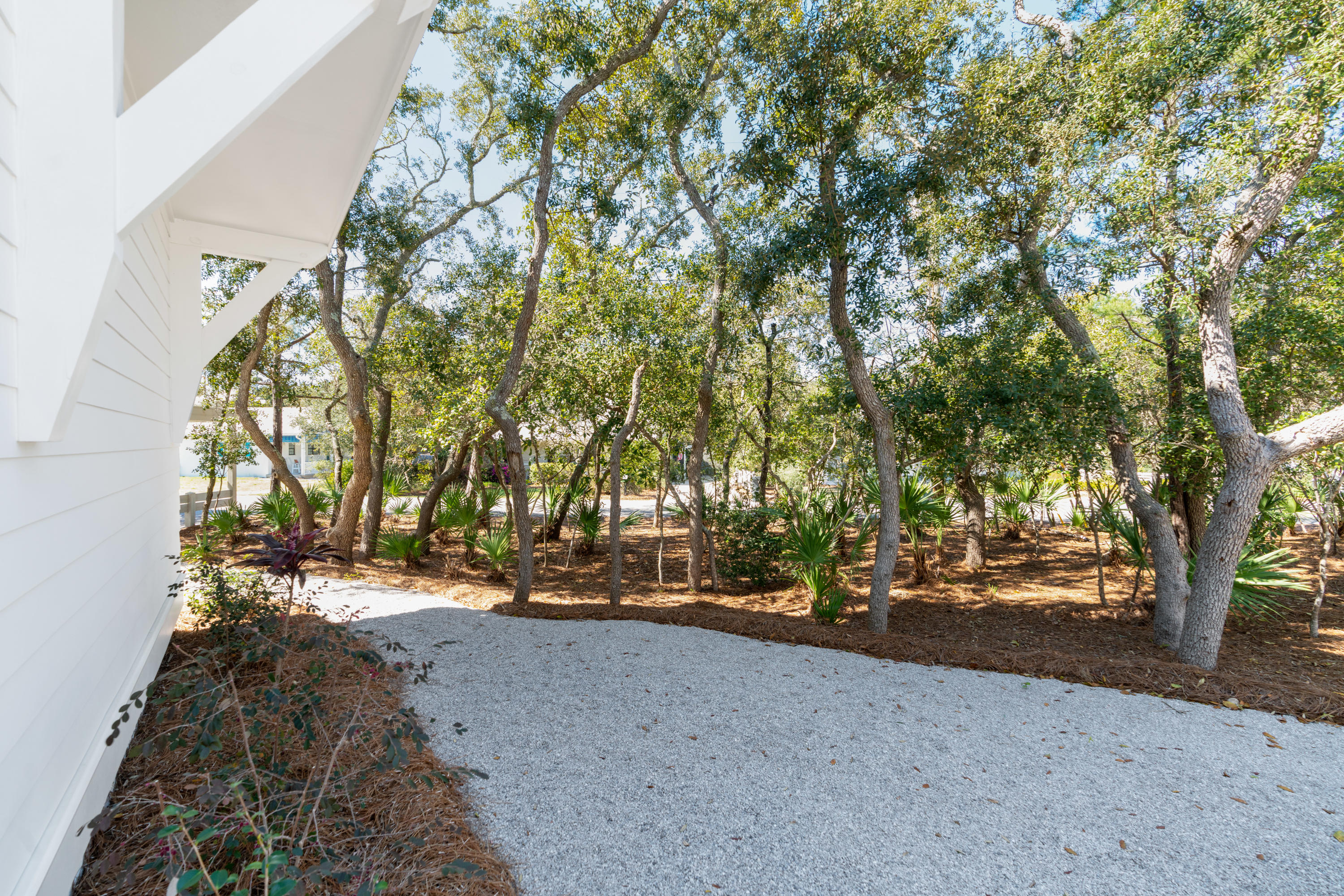 134 Blue Lake Road Santa Rosa Beach, FL 32459 - Photo 7 of 49 a view of road with trees