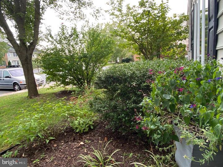 211 Morningside Drive Falling Waters, WV 25419 - Photo 2 of 42