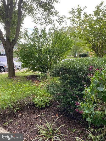 211 Morningside Drive Falling Waters, WV 25419 - Photo 3 of 42 a view of a garden with a tree