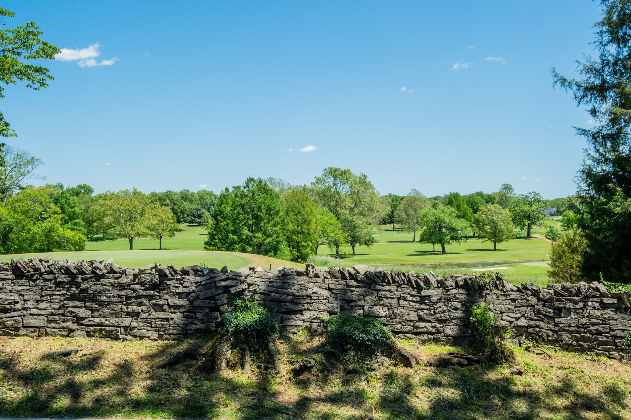 131 Page Road Nashville, TN 37205 - Photo 41 of 49