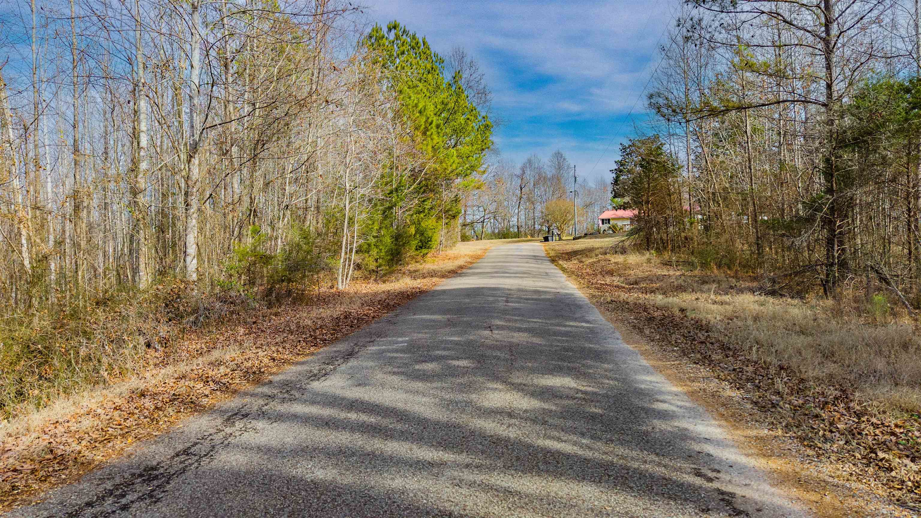150 Stafford Bottoms Road Adamsville, TN 38310 - Photo 11 of 23 a view of a backyard of the house