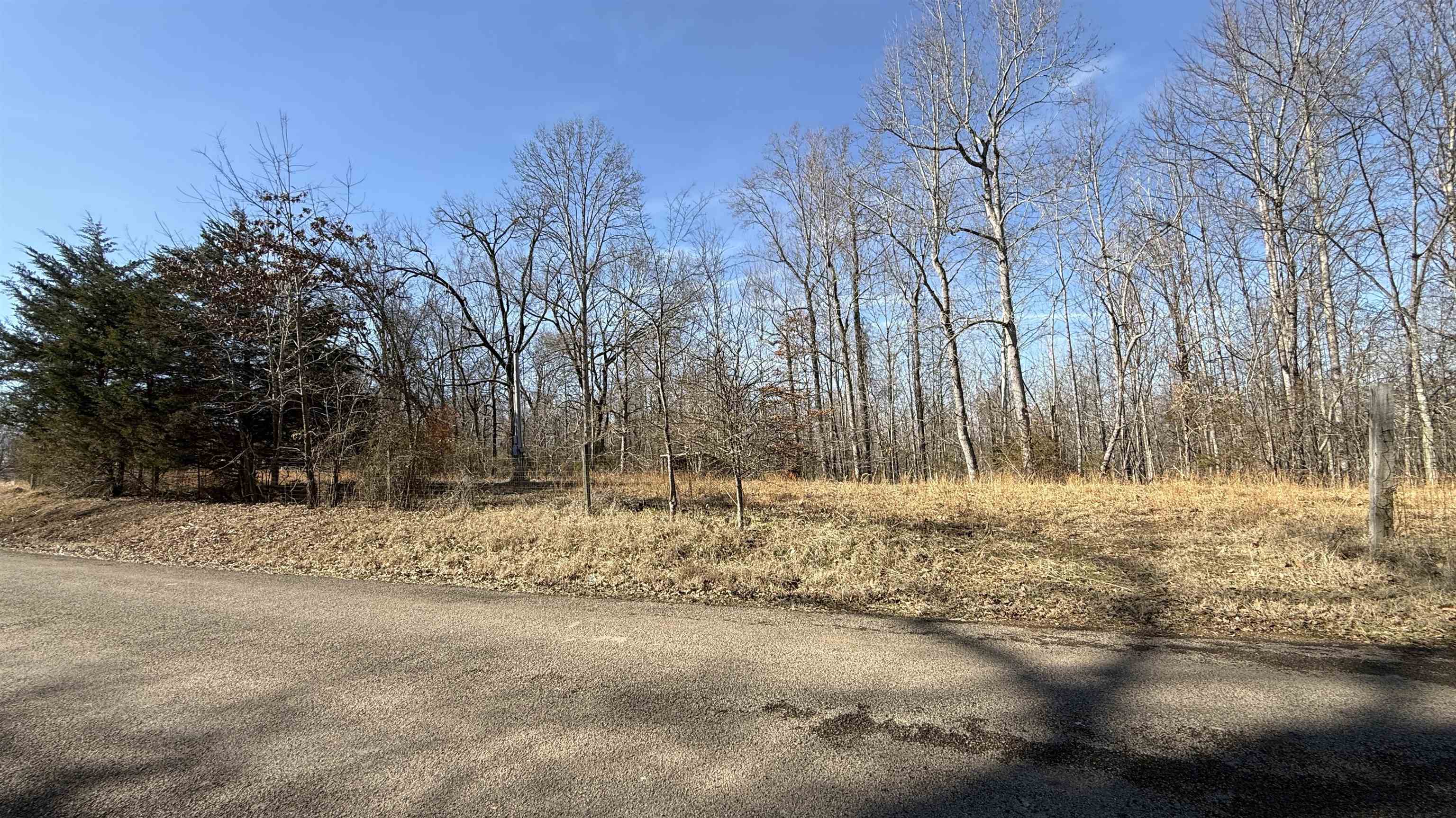 150 Stafford Bottoms Road Adamsville, TN 38310 - Photo 14 of 23 a view of a yard with trees