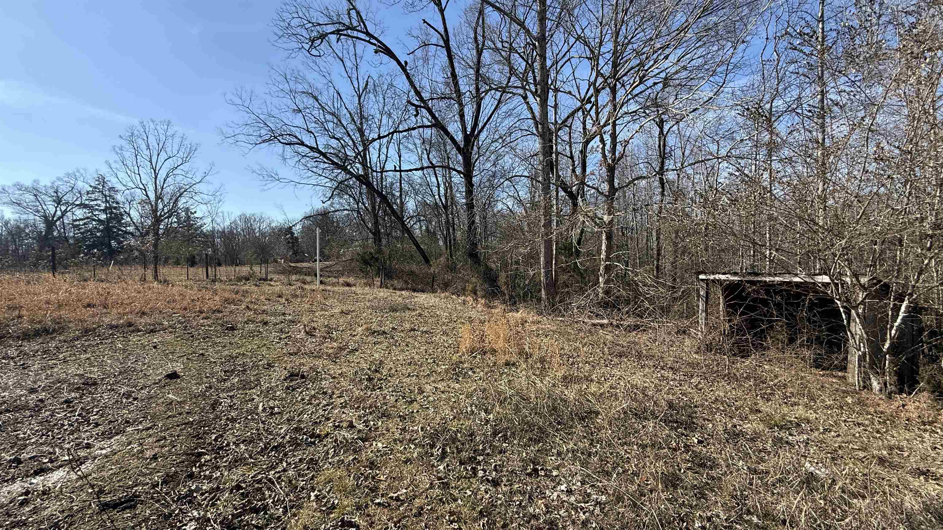 150 Stafford Bottoms Road Adamsville, TN 38310 - Photo 15 of 23 a view of road covered with snow