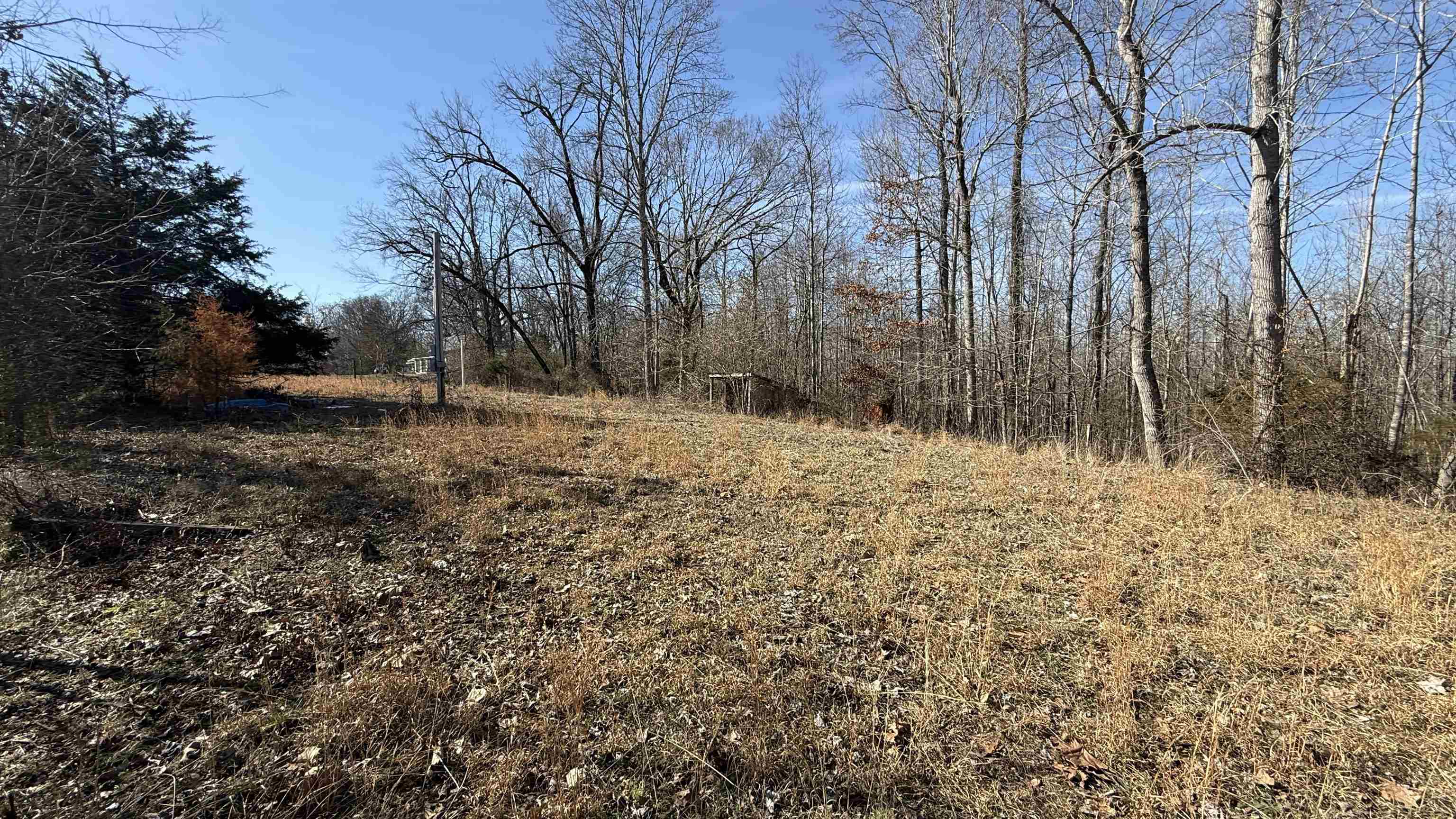 150 Stafford Bottoms Road Adamsville, TN 38310 - Photo 16 of 23 a backyard of a house with large trees