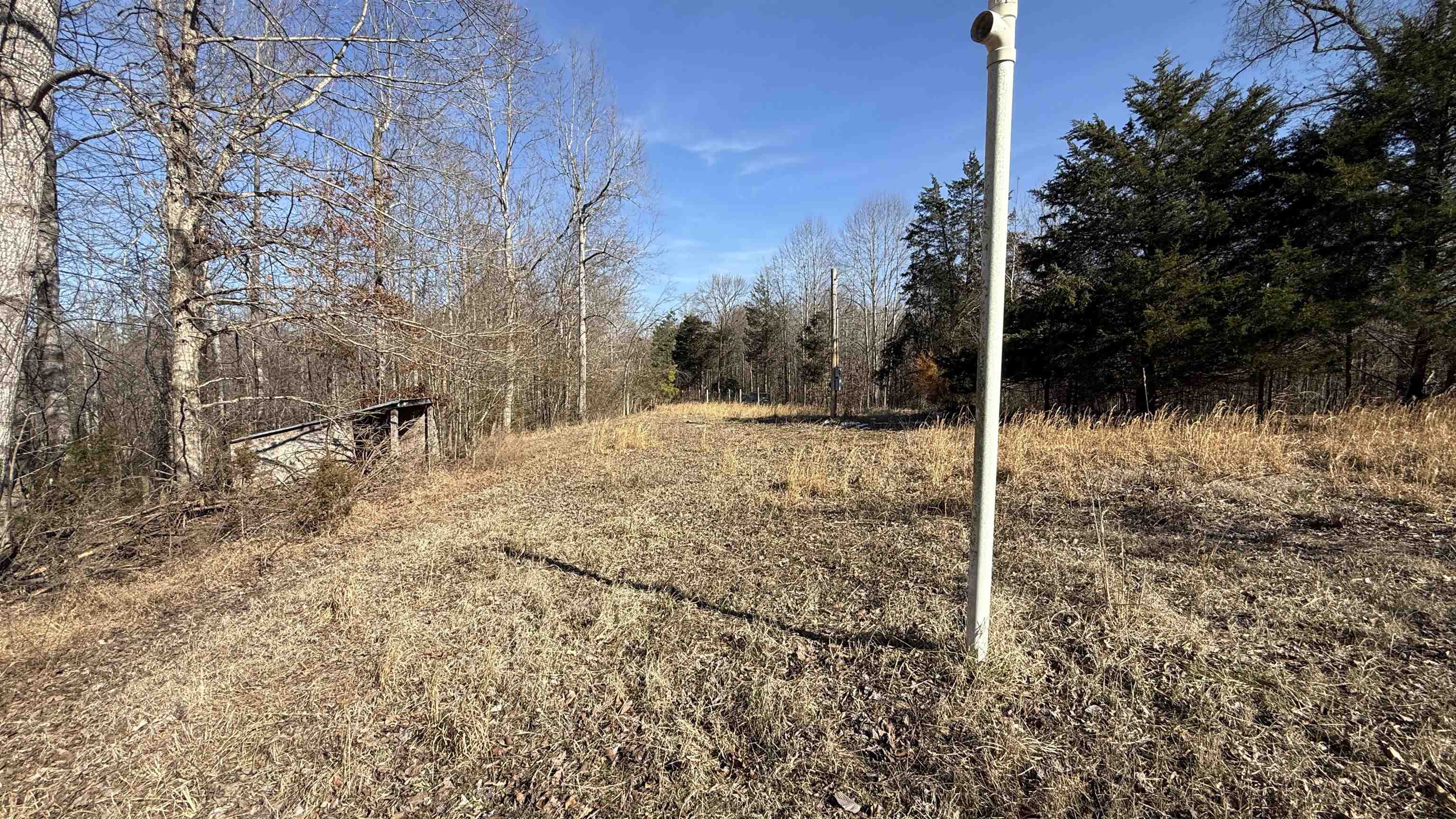 150 Stafford Bottoms Road Adamsville, TN 38310 - Photo 17 of 23 a backyard of a house with lots of green space