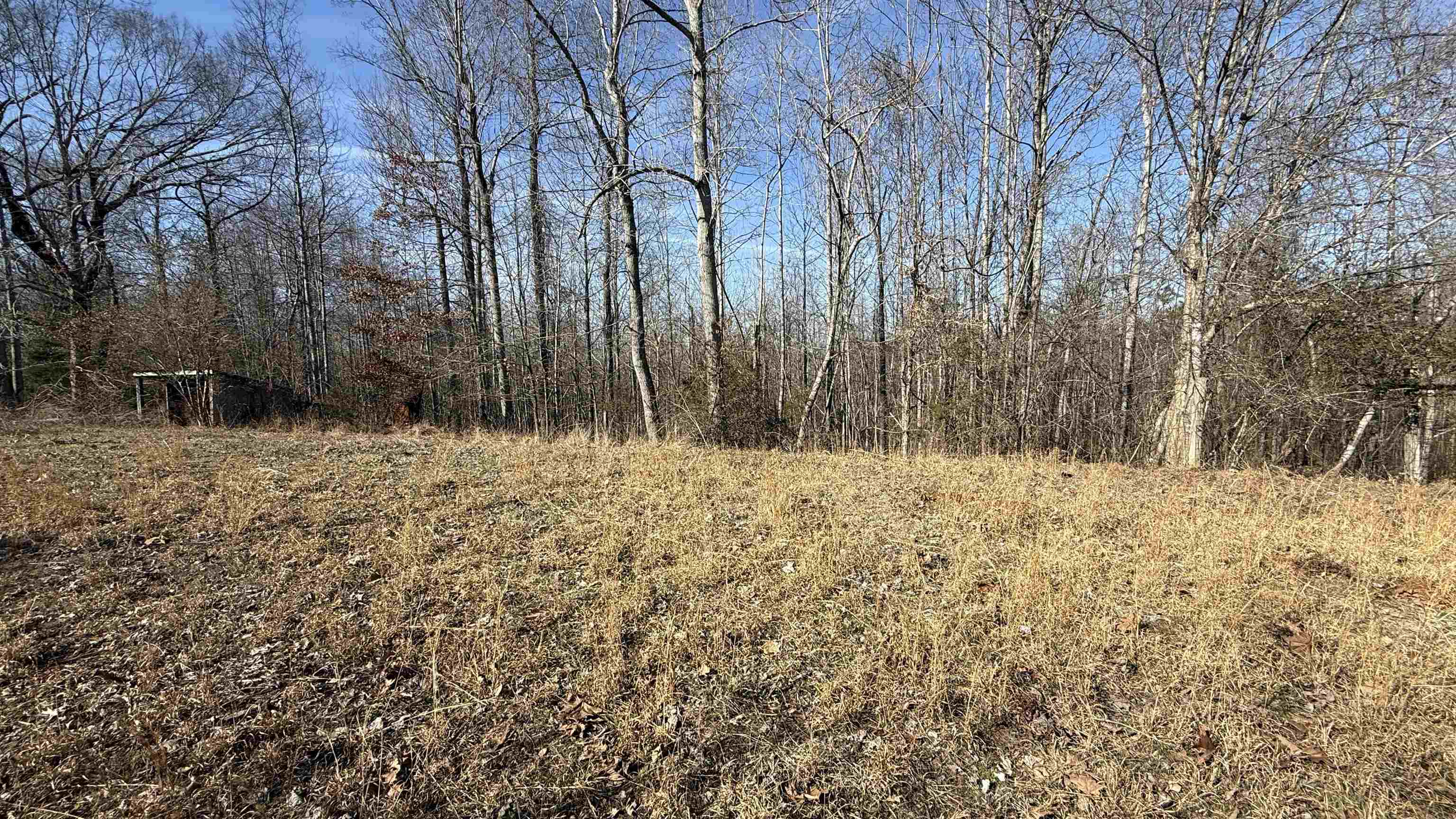 150 Stafford Bottoms Road Adamsville, TN 38310 - Photo 18 of 23 a view of snow covered with snow