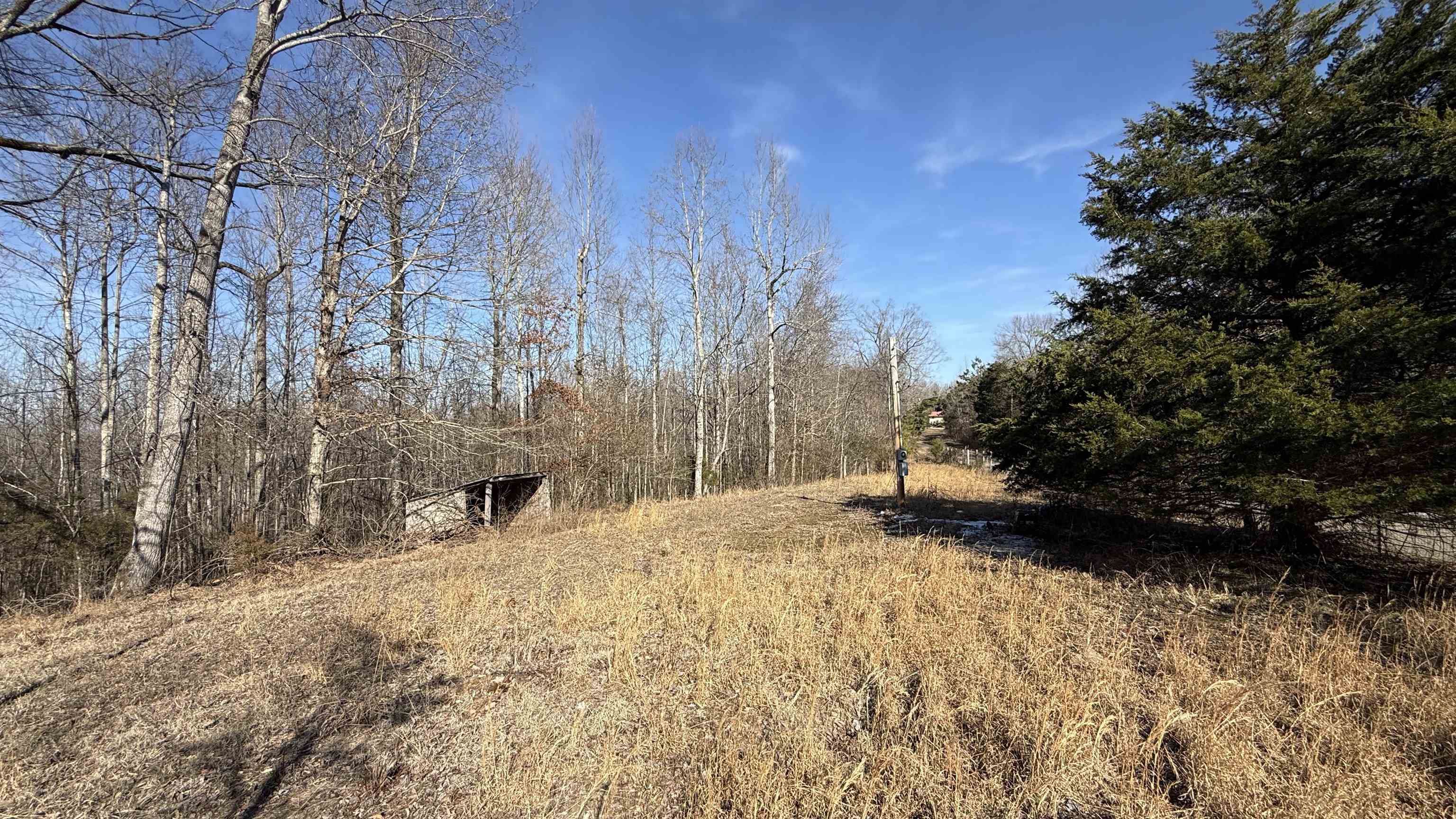 150 Stafford Bottoms Road Adamsville, TN 38310 - Photo 19 of 23 a view of a yard with trees in the background