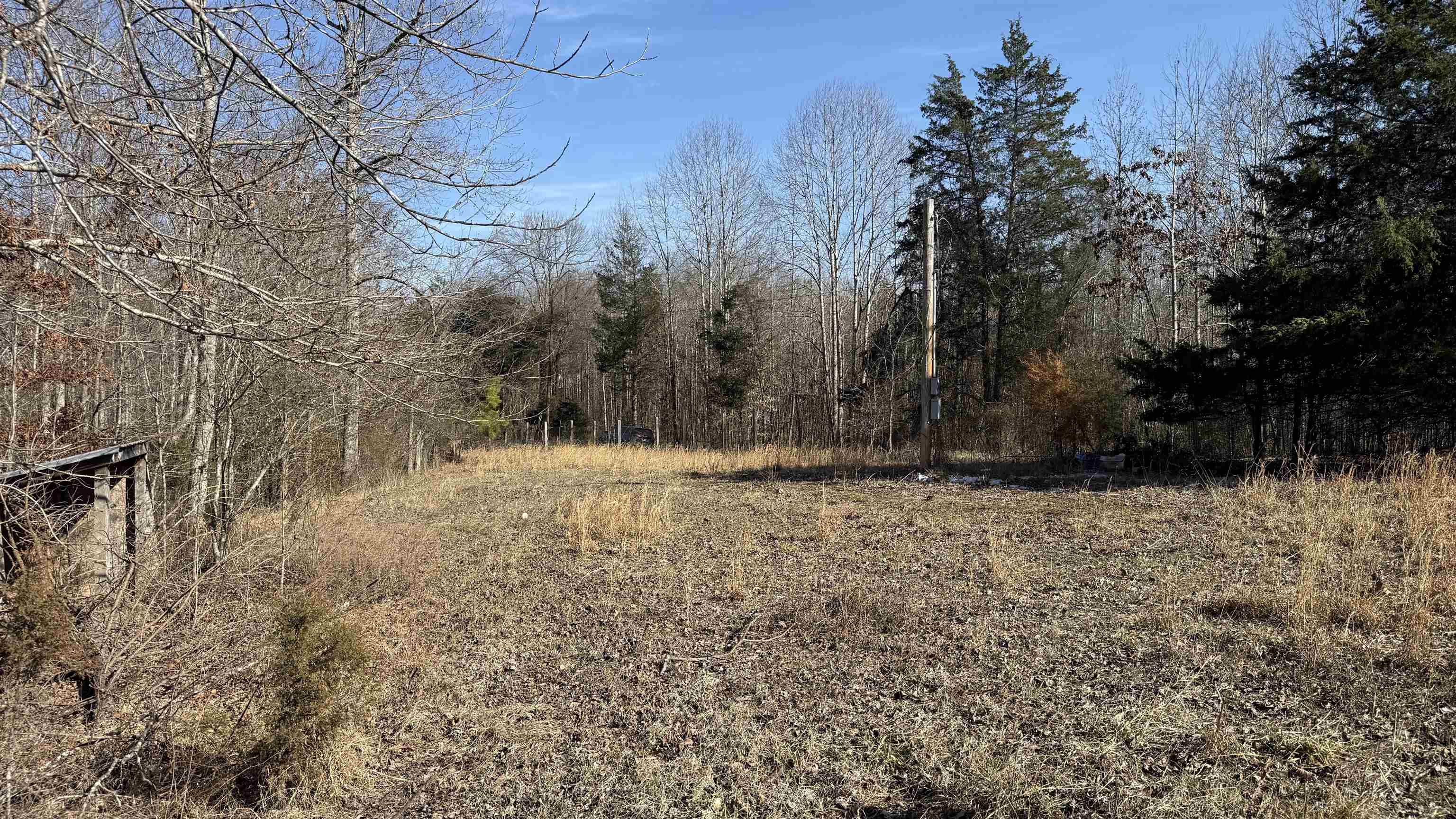 150 Stafford Bottoms Road Adamsville, TN 38310 - Photo 21 of 23 a view of large yard with trees