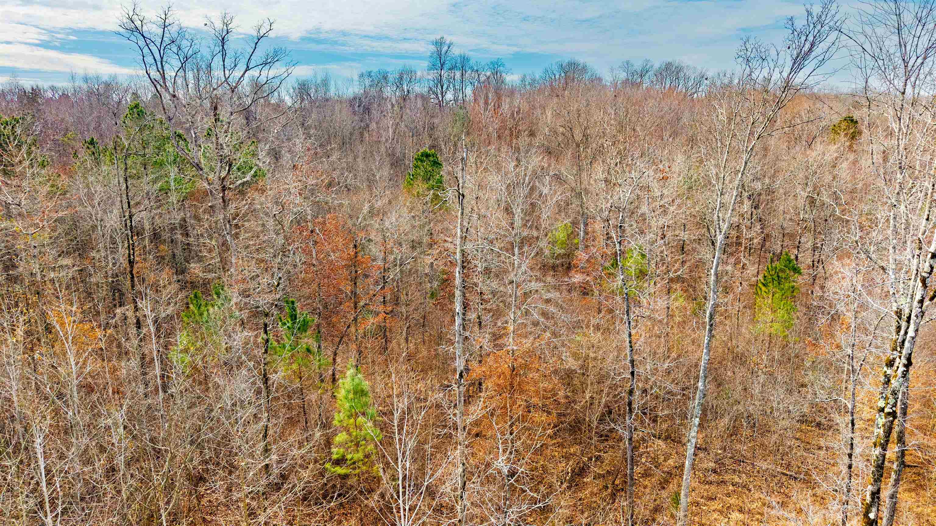 150 Stafford Bottoms Road Adamsville, TN 38310 - Photo 22 of 23 a view of a yard
