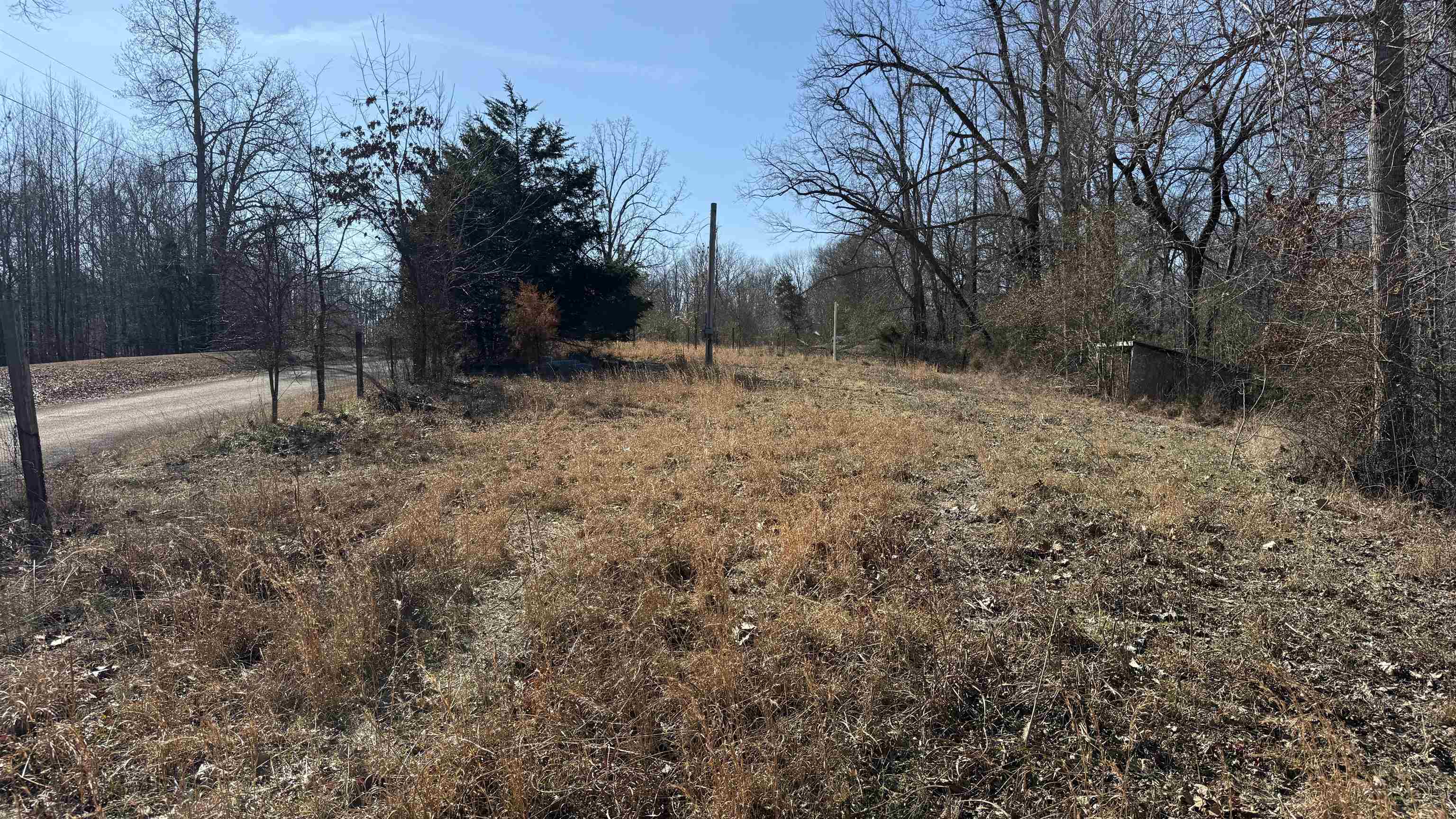 150 Stafford Bottoms Road Adamsville, TN 38310 - Photo 23 of 23 a view of a yard with trees