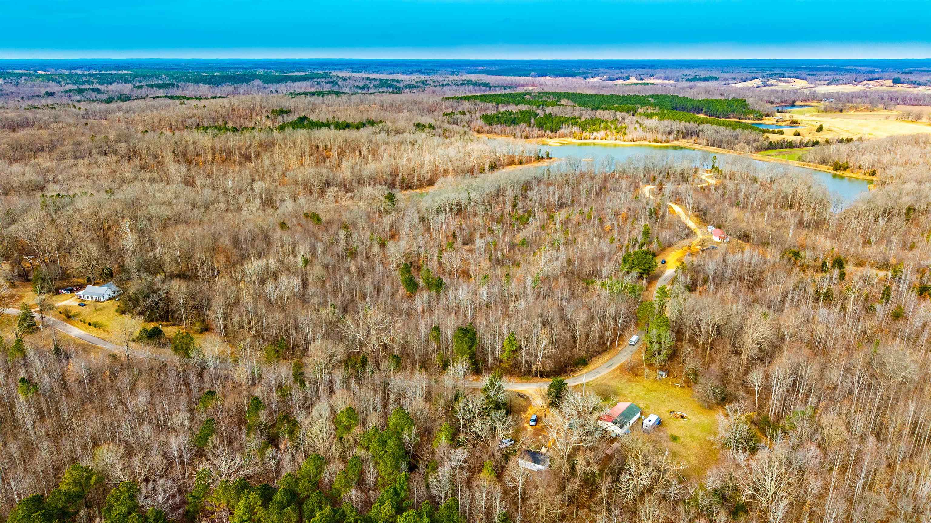 150 Stafford Bottoms Road Adamsville, TN 38310 - Photo 5 of 23 Drone / aerial view of a forest and a nearby body of water
