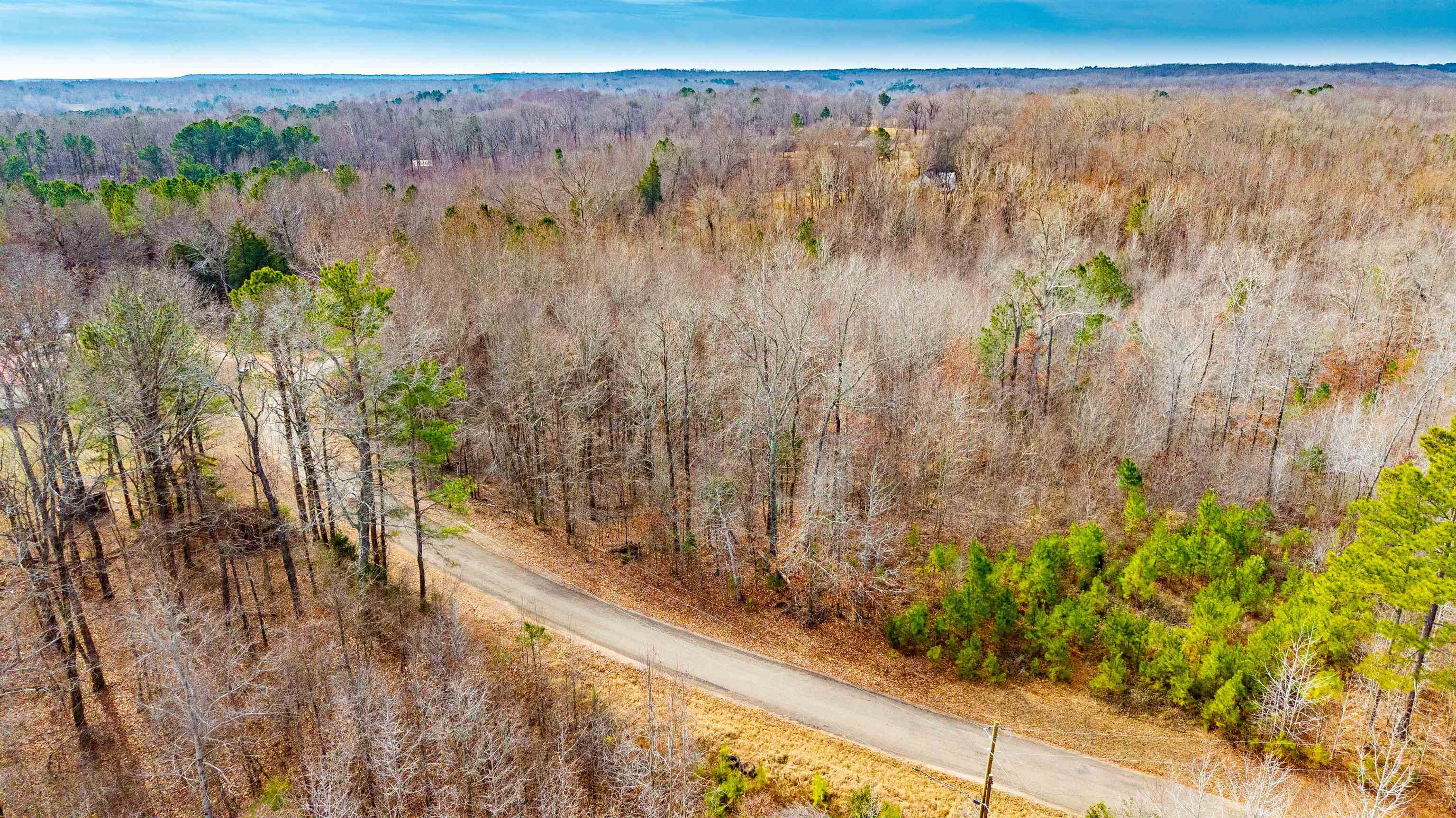 150 Stafford Bottoms Road Adamsville, TN 38310 - Photo 8 of 23 Aerial view of a forest