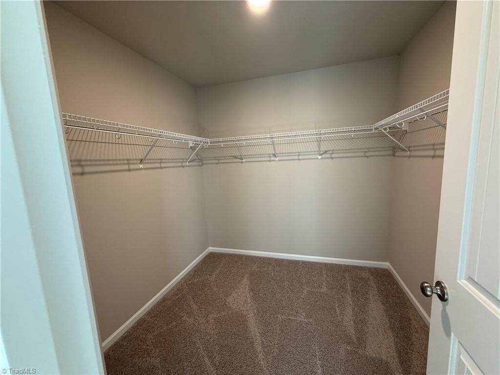 3171 Riley Ford Trail High Point, NC 27265 - Photo 36 of 40 Huge closets throughout