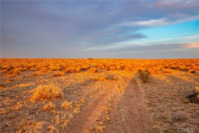 a view of beach and city