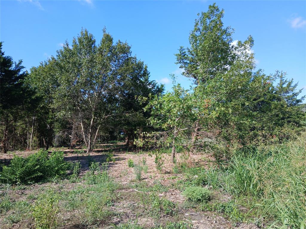 3360 Rd Hubbard Tx 76648 Road Hubbard, TX 76648 - Photo 7 of 13