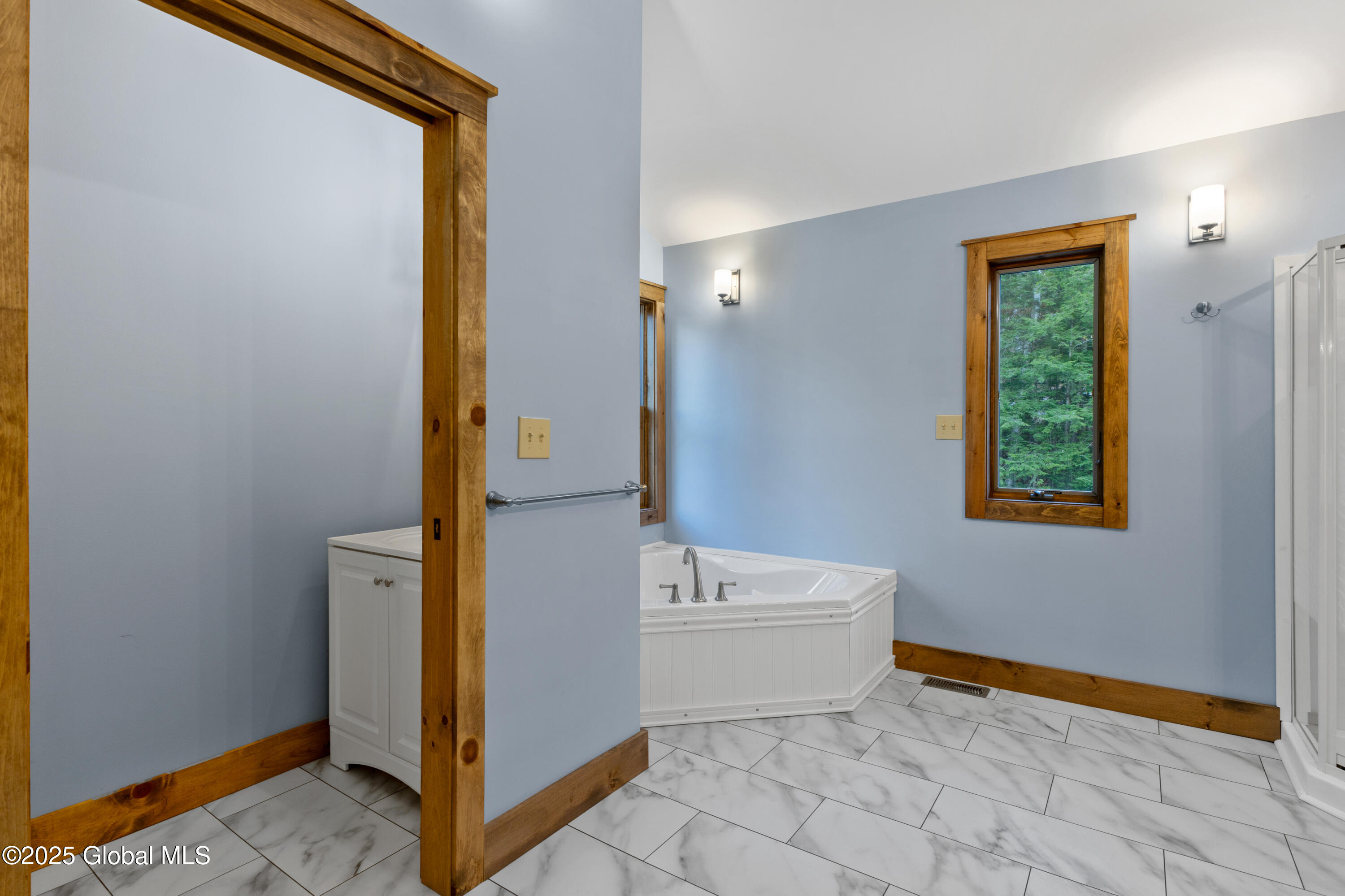 9 Spring Woods Diamond Point, NY 12824 - Photo 24 of 52 2 (35)