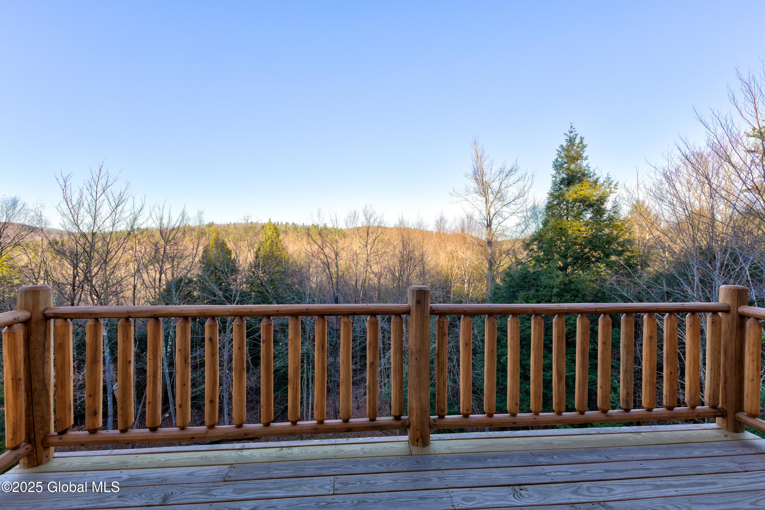 9 Spring Woods Diamond Point, NY 12824 - Photo 33 of 52 2 (38)