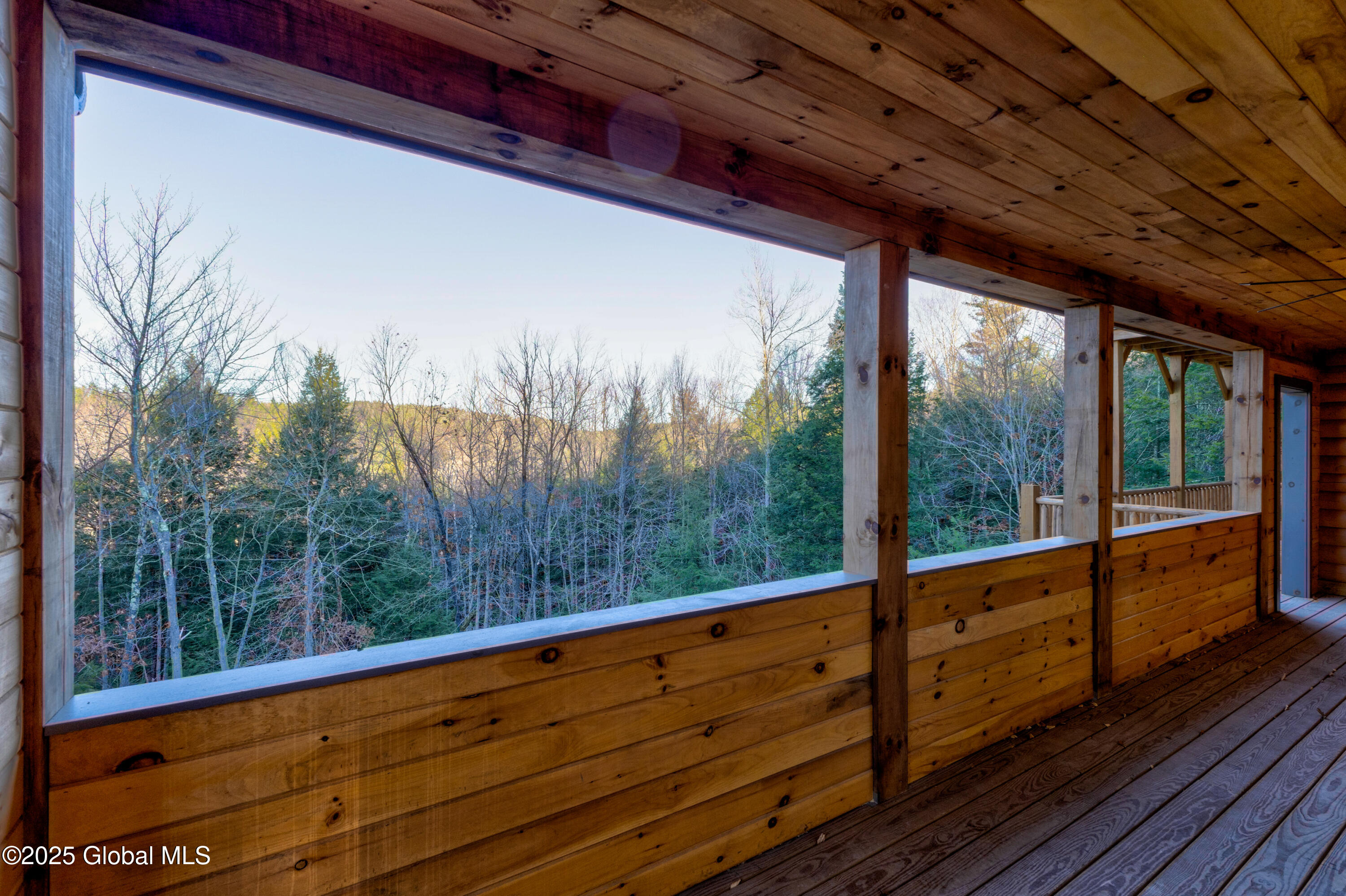 9 Spring Woods Diamond Point, NY 12824 - Photo 36 of 52 2 (41)