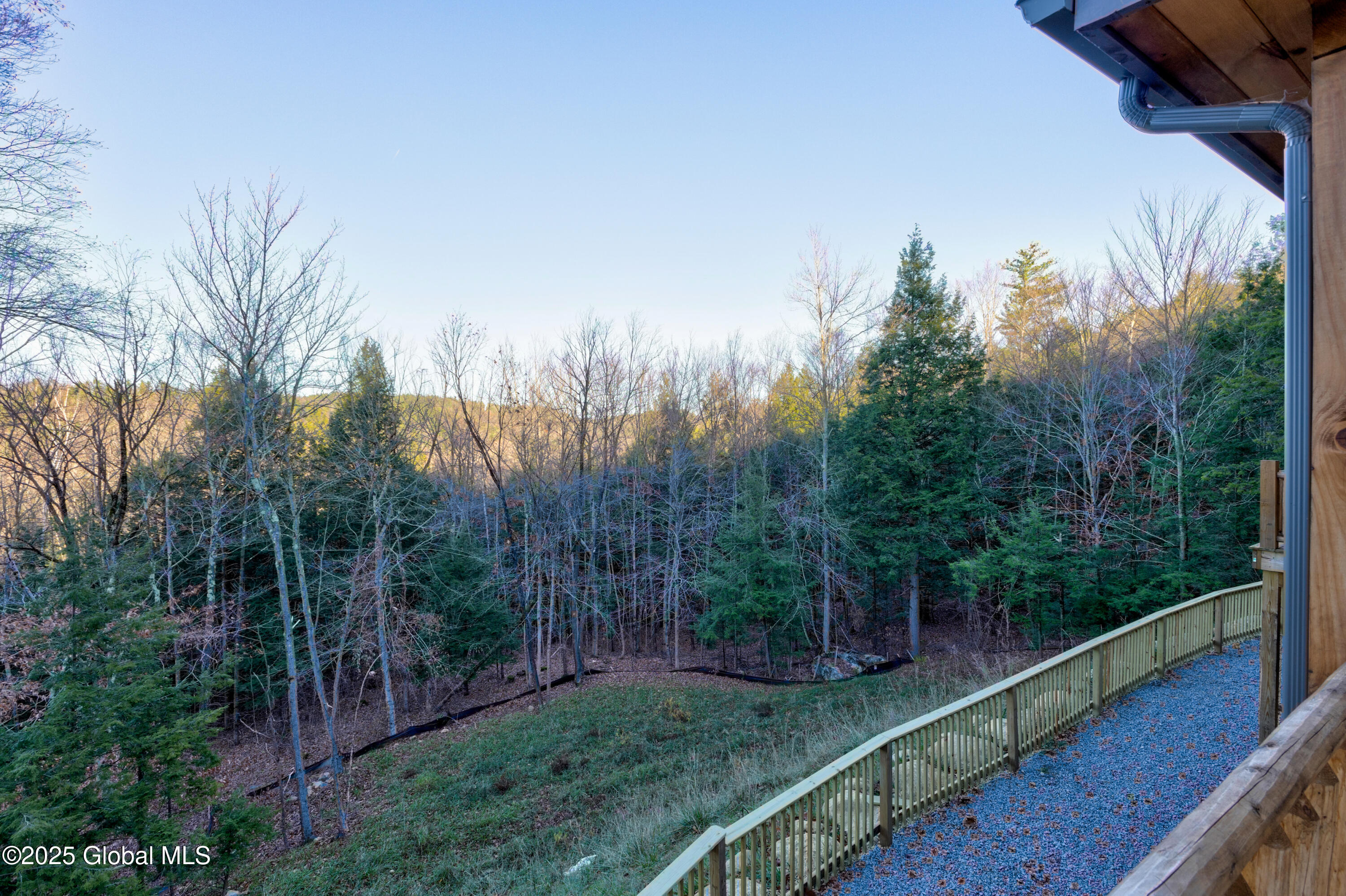 9 Spring Woods Diamond Point, NY 12824 - Photo 43 of 52 2 (46)