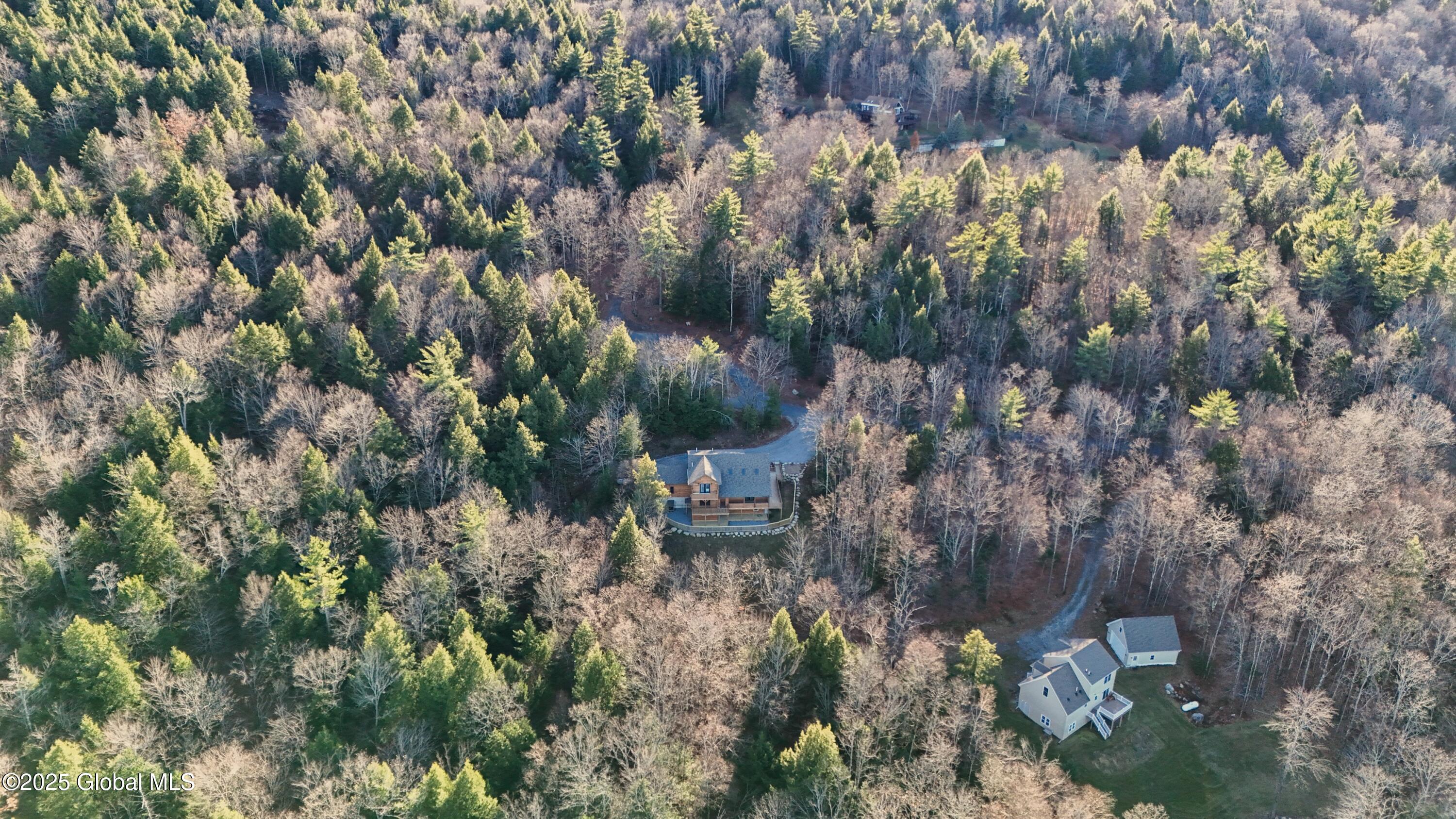 9 Spring Woods Diamond Point, NY 12824 - Photo 48 of 52 2 (56)