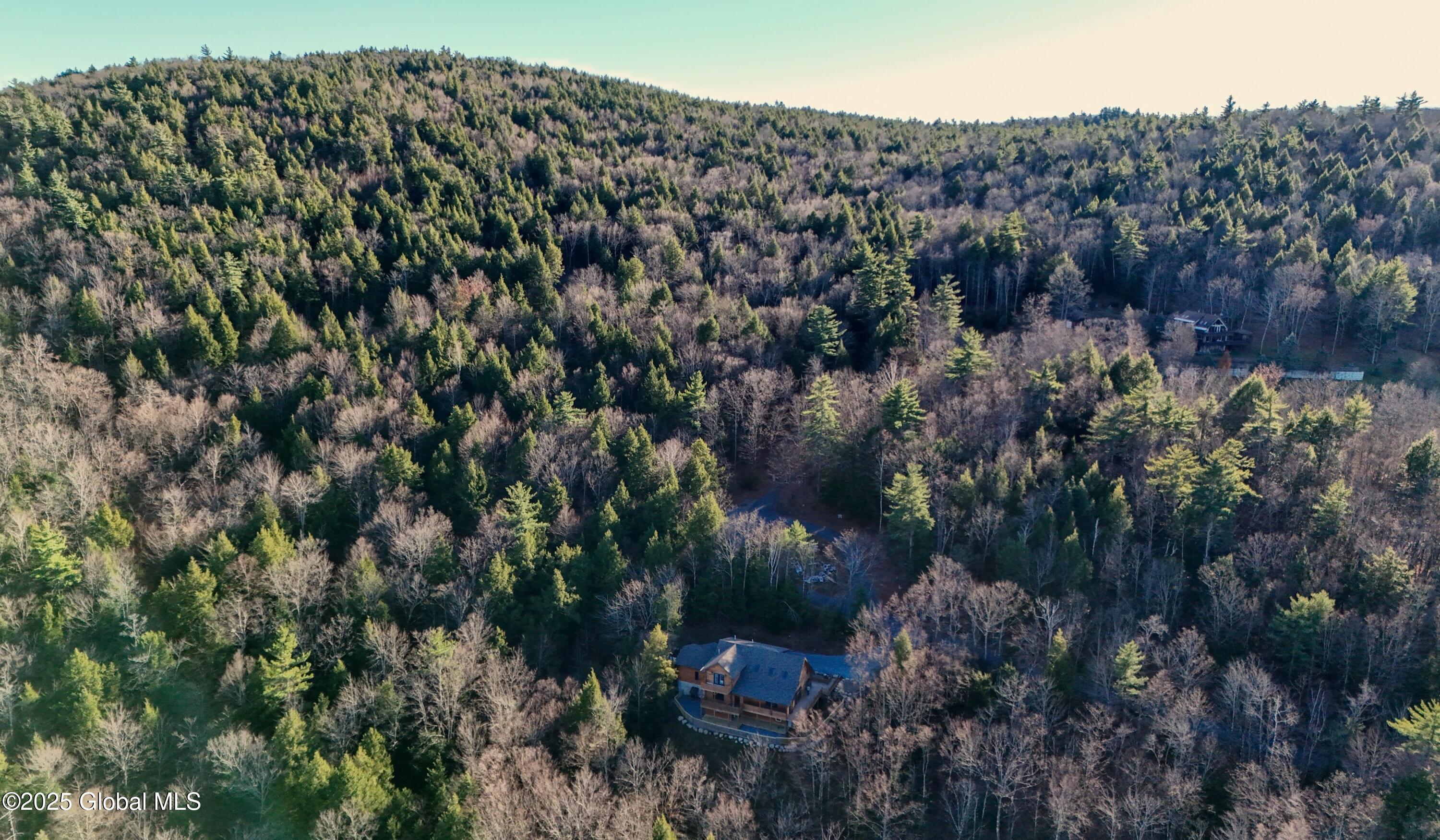 9 Spring Woods Diamond Point, NY 12824 - Photo 49 of 52 2 (57)