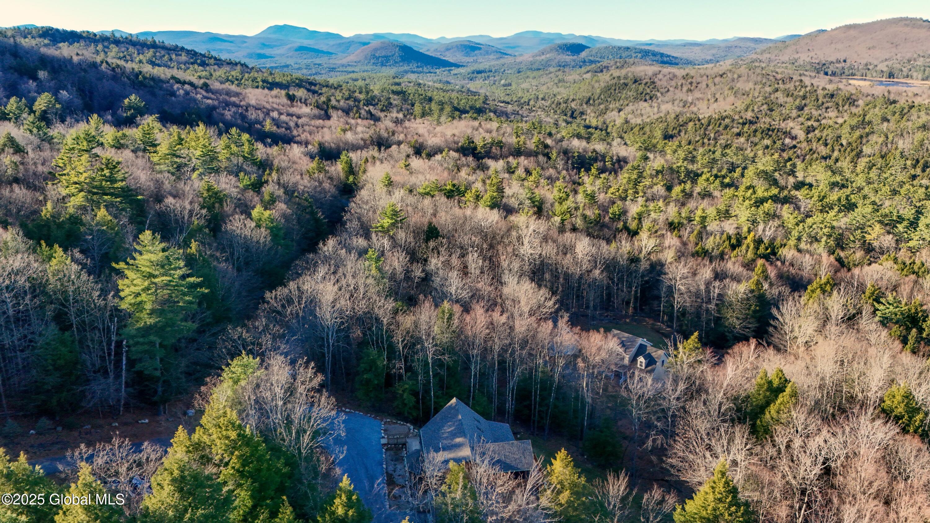 9 Spring Woods Diamond Point, NY 12824 - Photo 50 of 52 2 (58)